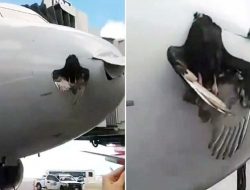 Pesawat Air India Ditabrak Burung, Tetap Terbang meski Mesin Rusak