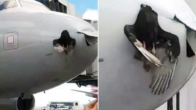 Pesawat Air India Ditabrak