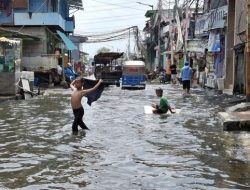 70 Rumah di Muara Angke Terdampak Pembangunan Tanggul Rob, Warga Minta Kompensasi