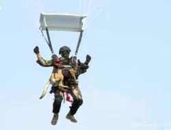 Penerjun Payung Mendarat Tak Mulus Saat HUT Korps Marinir