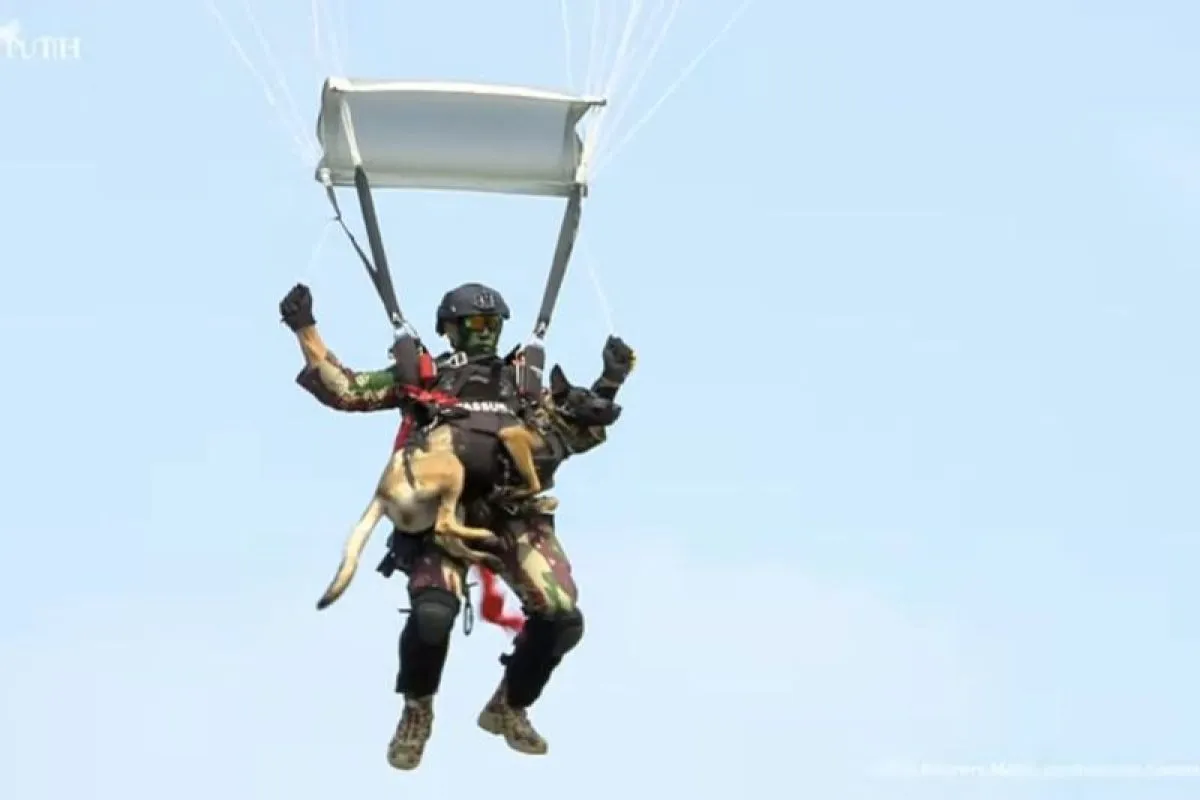 Penerjun Payung Mendarat