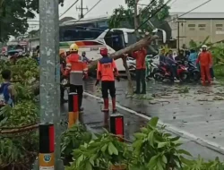 Hujan dan Angin Kencang Terjang Ciamis Puluhan Rumah Rusak