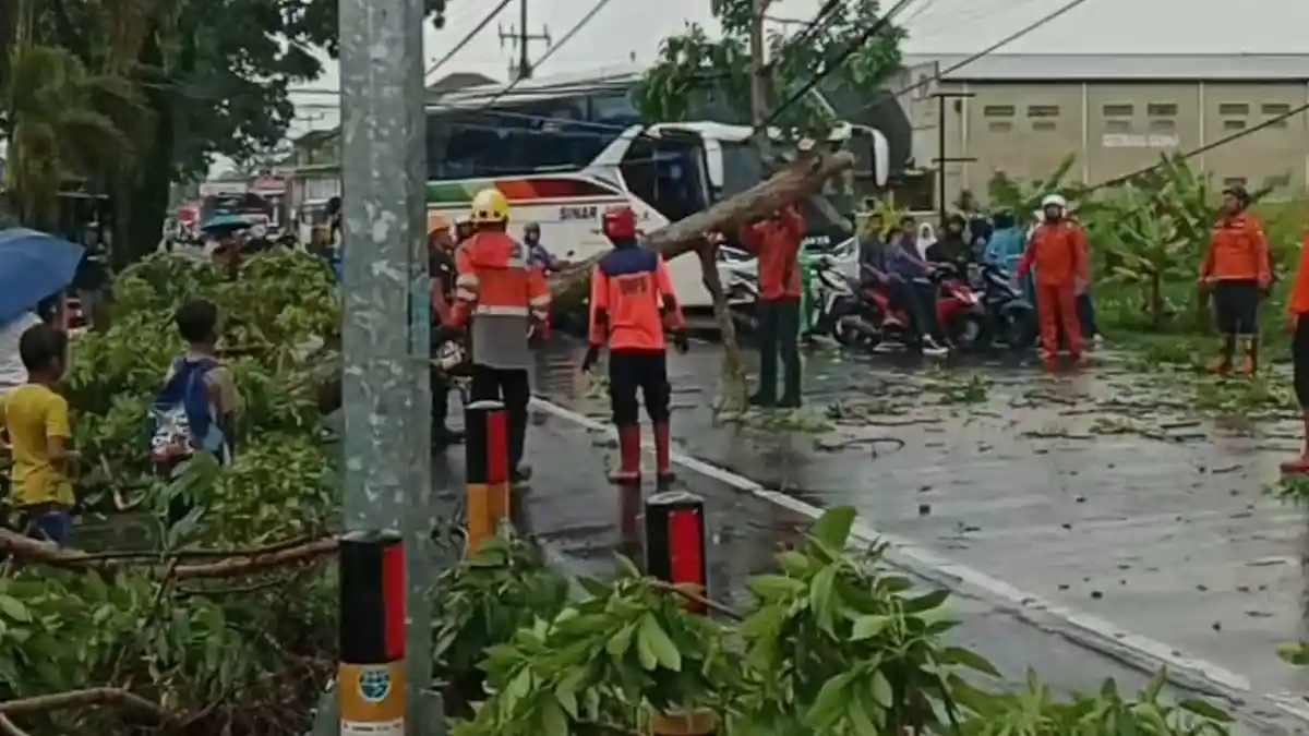 Hujan dan Angin Kencang