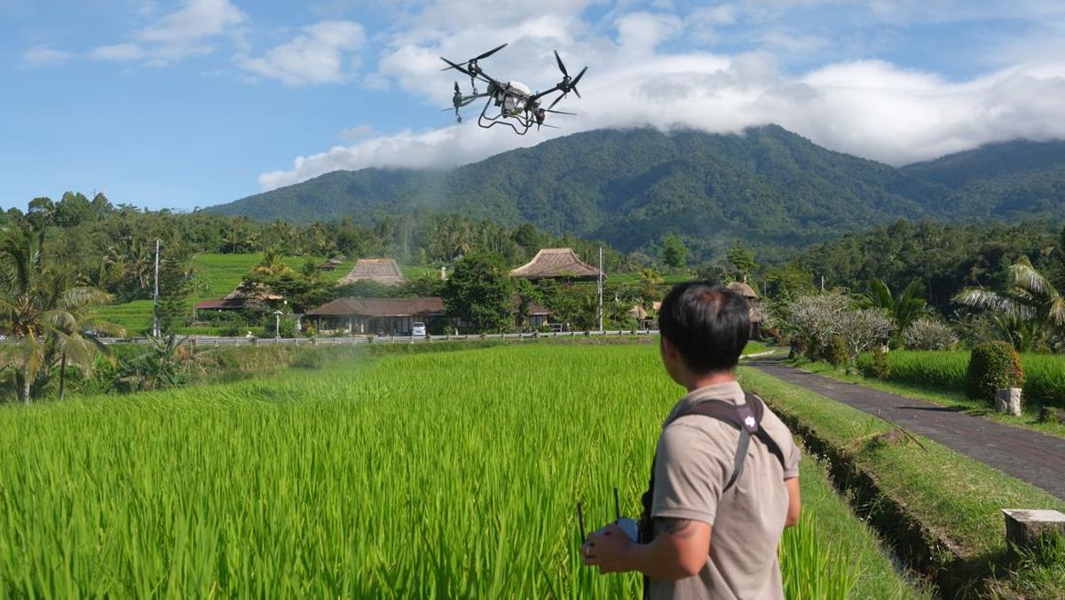 Petani Jatiluwih Bali